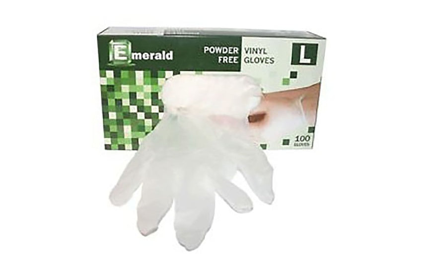 Powder Free Vinyl Gloves Large (10 BX of 100 gloves/CS)